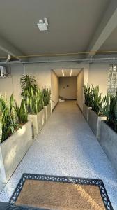 Cidade das bicicletas