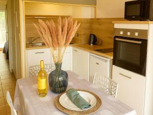 Charmant pavillon climatisé avec piscine, proche plage - FR-1-732-46