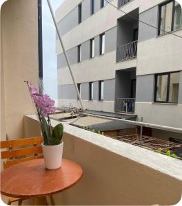 Remo beachfront apartment