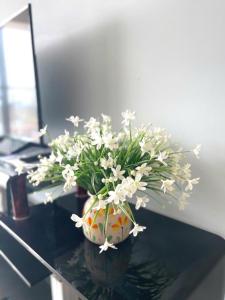 Newlife Hạ Long -Homestay