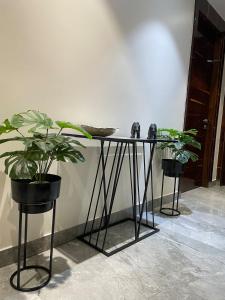 Stylish 3BHK in New Delhi - Luxe 301