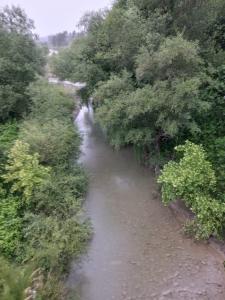 Cozy Riverside Apartment