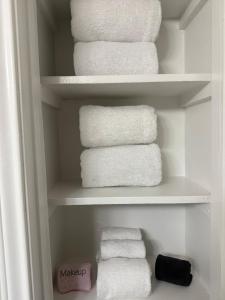 Apartment in Houston near NRG with Free Parking