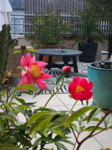 Appartements Le toit chic a 15 mn Paris Centre : photos des chambres