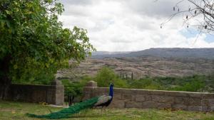 Estancia Santa María de las Casas Viejas - Farmy, Mina Clavero