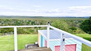 Dilkara, In The Heart Of Angourie