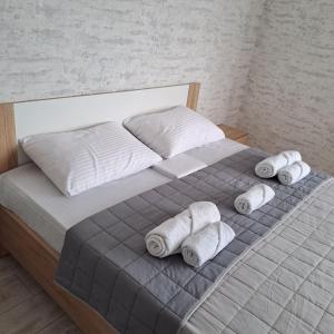 Panoramic View Studio