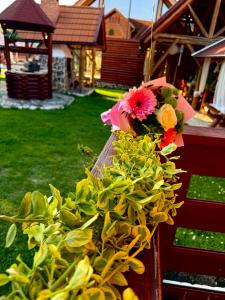 Cabana Dzsesszika&Erik