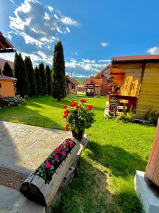 Cabana Dzsesszika&Erik