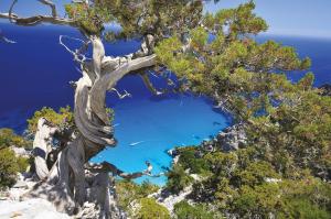 Palazzo Beddoro img39