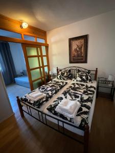 Apartman Viki