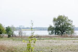 Bałtycka Przystań by Major Domus Club