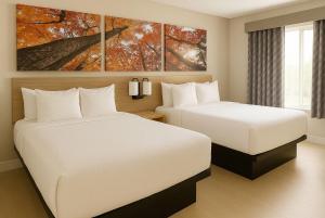 Queen Room with Two Queen Beds - Non-Smoking room in Rodeway Inn Fergus Falls