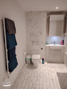 Modern two bed room flat at Elephant Castle