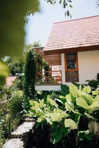 Deep Roots Dive & Yoga Resort