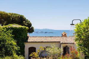 Balamb Garden A Cinarchesa