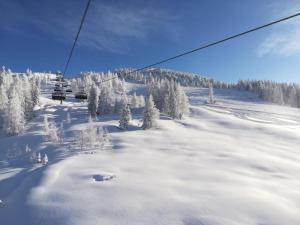 Apartment in Mittersill near Ski Slopes