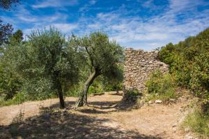 Appartements Les Escouradieres dans le Var : photos des chambres