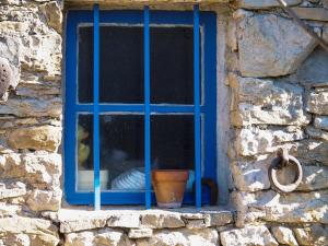 Appartements Les Escouradieres dans le Var : photos des chambres