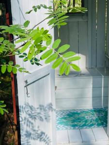 Den lilla röda stugan