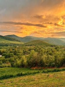 Willow Tiny House - ElysianFields