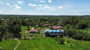 Green soul guest house only book trekking with us