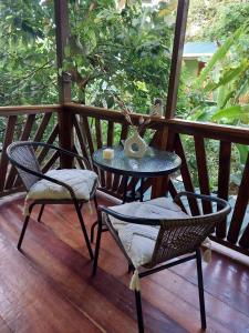 Chilamate Jungle View