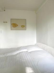 Guest house Æbelnæs, Møn