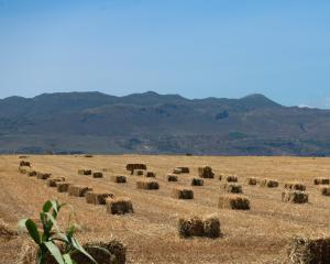 Blue Zone Villa, a SeaView Sanctuary with Pool, By ThinkVilla