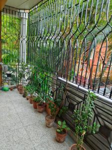 Sidds Hospitality Inn