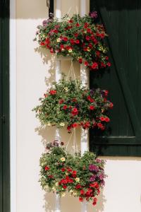 Casa Joop Dolce far Niente