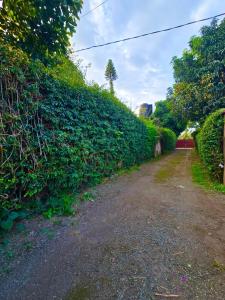 2 bedrooms cozy house in Arusha