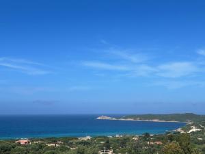 Appartements Appartement vue mer Vulpaghja 01 : photos des chambres