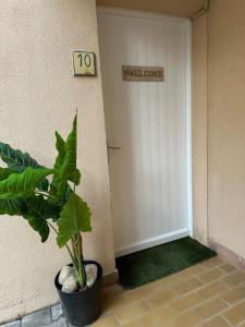 Appartements T2 RDC a Canet en Roussillon Europa 4 pers ,piscine,clim, tennis, parking : photos des chambres