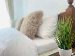 Apartment in Bansko, very close to the Gondola