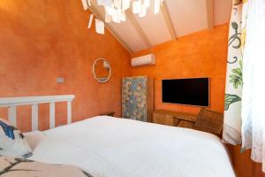 Studio apartment Amarcord