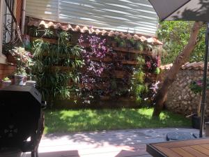 Antalya merkez kaleiçi muhteşem size özel bahçeli özel VİLLA