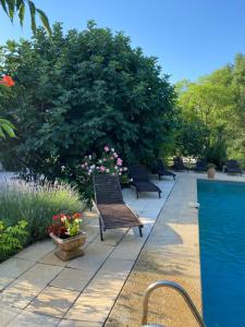 B&B / Chambres d'hotes La Mandarine : photos des chambres