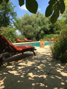 B&B / Chambres d'hotes La Mandarine : photos des chambres