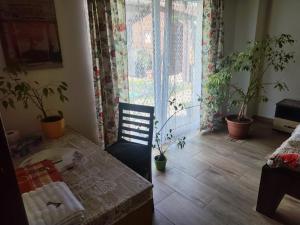 Ubytování Okřínek ONE