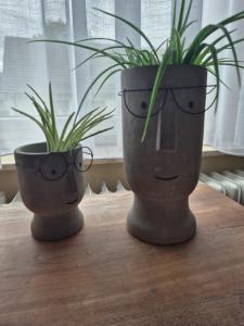 Wohnung Unterkrone 4 Betten