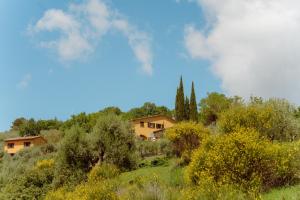 Agriturismo San Felicissimo
