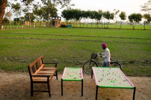 Punjab Village Farm near Amritsar