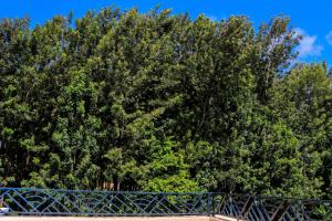 Haven Suites Bnb - Runogone