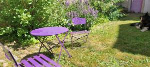 Appartements Bambou : photos des chambres