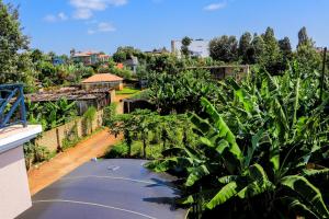 Haven Suites Bnb - Runogone