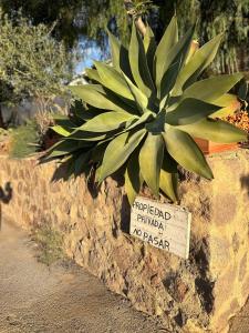 Casa Rous