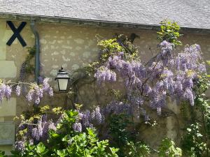 Maisons d'hotes La Durellerie : photos des chambres
