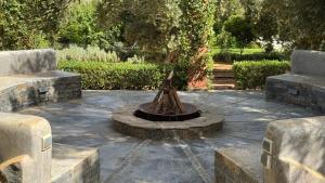Suite - Dar Tidyan Maison dHôtes - Ourika Valley