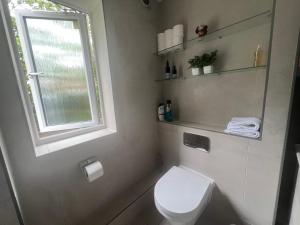 Luxurious 2 bed 2 bath apt with parking in Blackheath, London